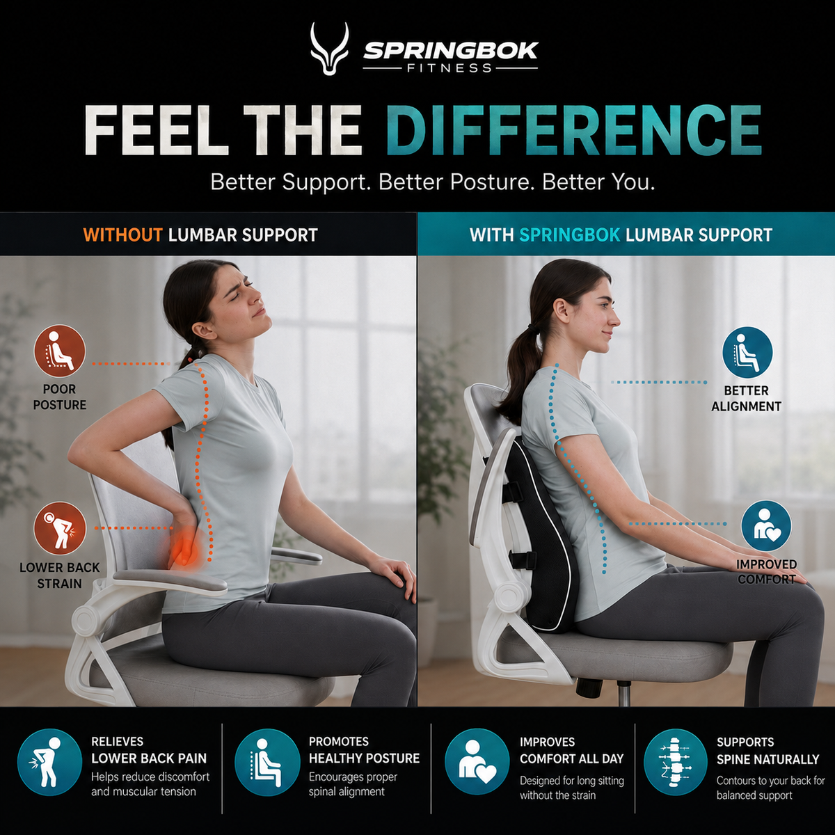 Springbok Support and lumbar Vertibra Cushion