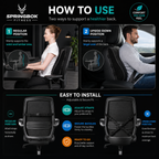 Springbok Support and lumbar Vertibra Cushion