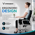 Springbok Lumbar Cushion