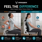 Springbok Lumbar Cushion