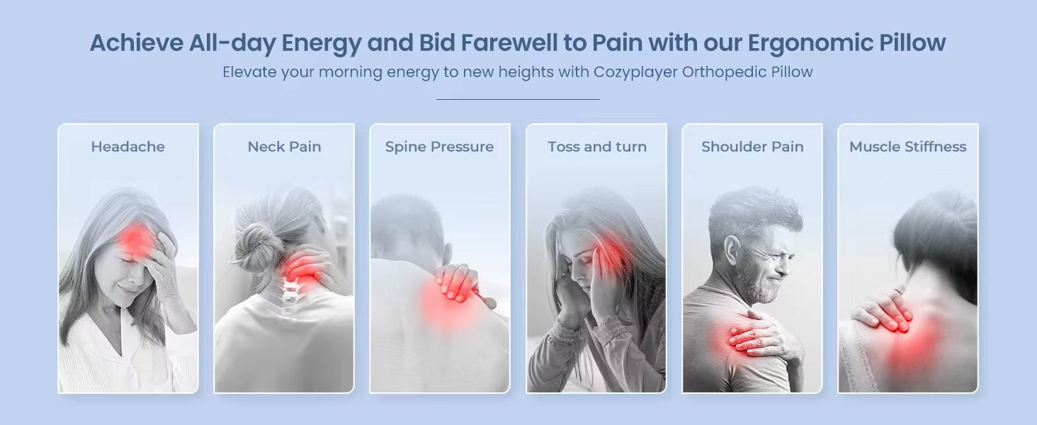 Springbok Cervical Pillow