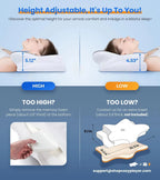 Springbok Cervical Pillow